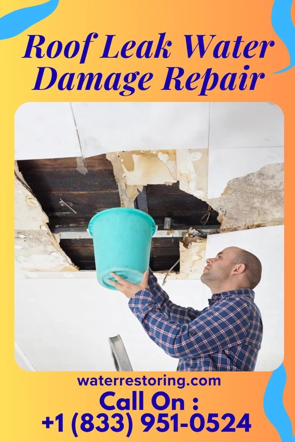 Roof Leak Water Damage Repair in Seaforth, MN